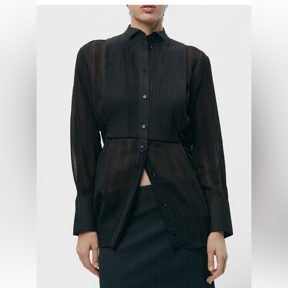 Zara Pleated Sheer Shirt-New without tags